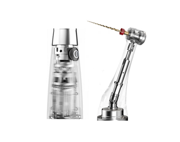 Endo radar plus