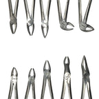 Forceps Kit from Exlin | EXLIN