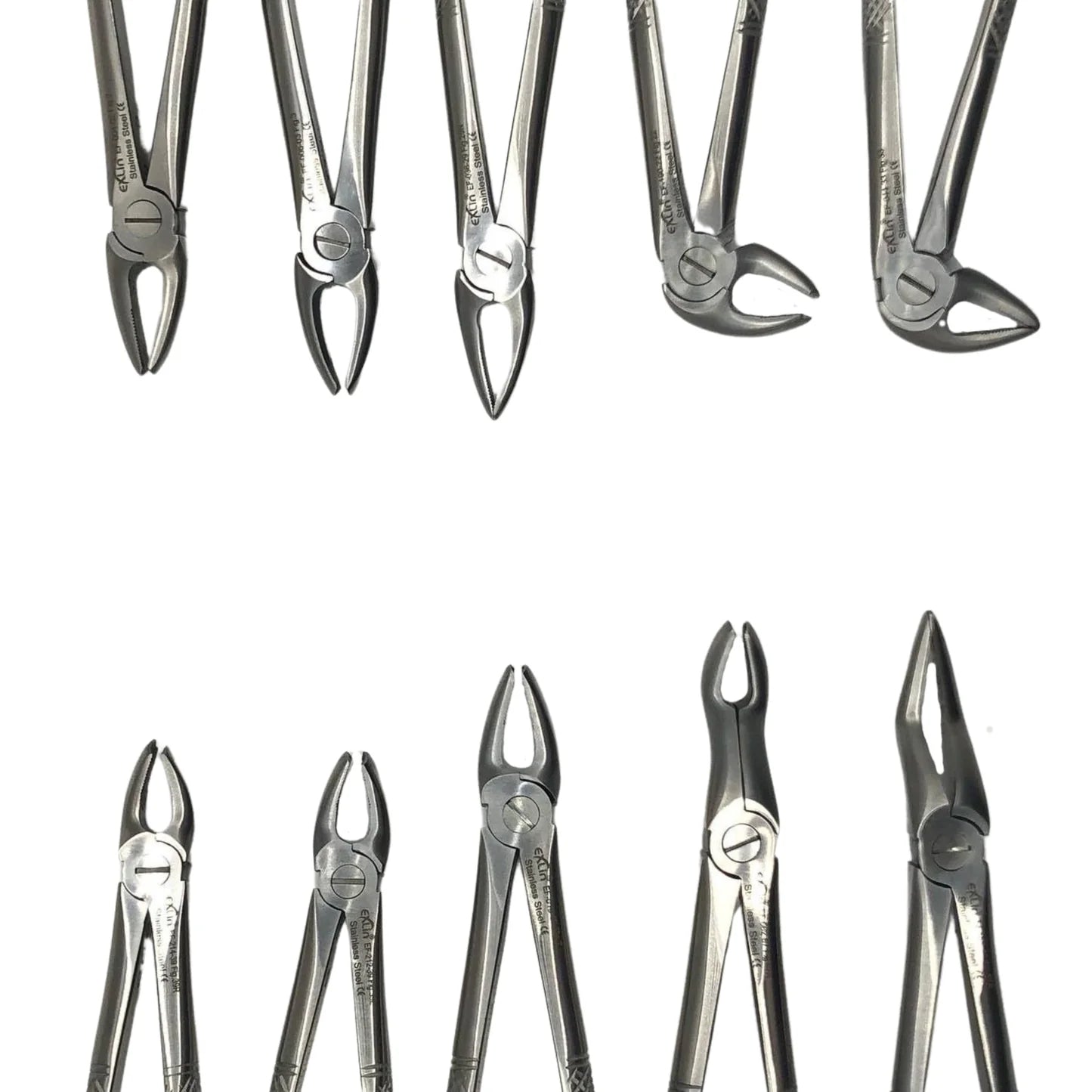 Forceps Kit from Exlin | EXLIN