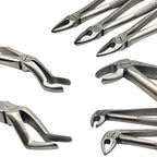 Forceps Kit from Exlin | EXLIN
