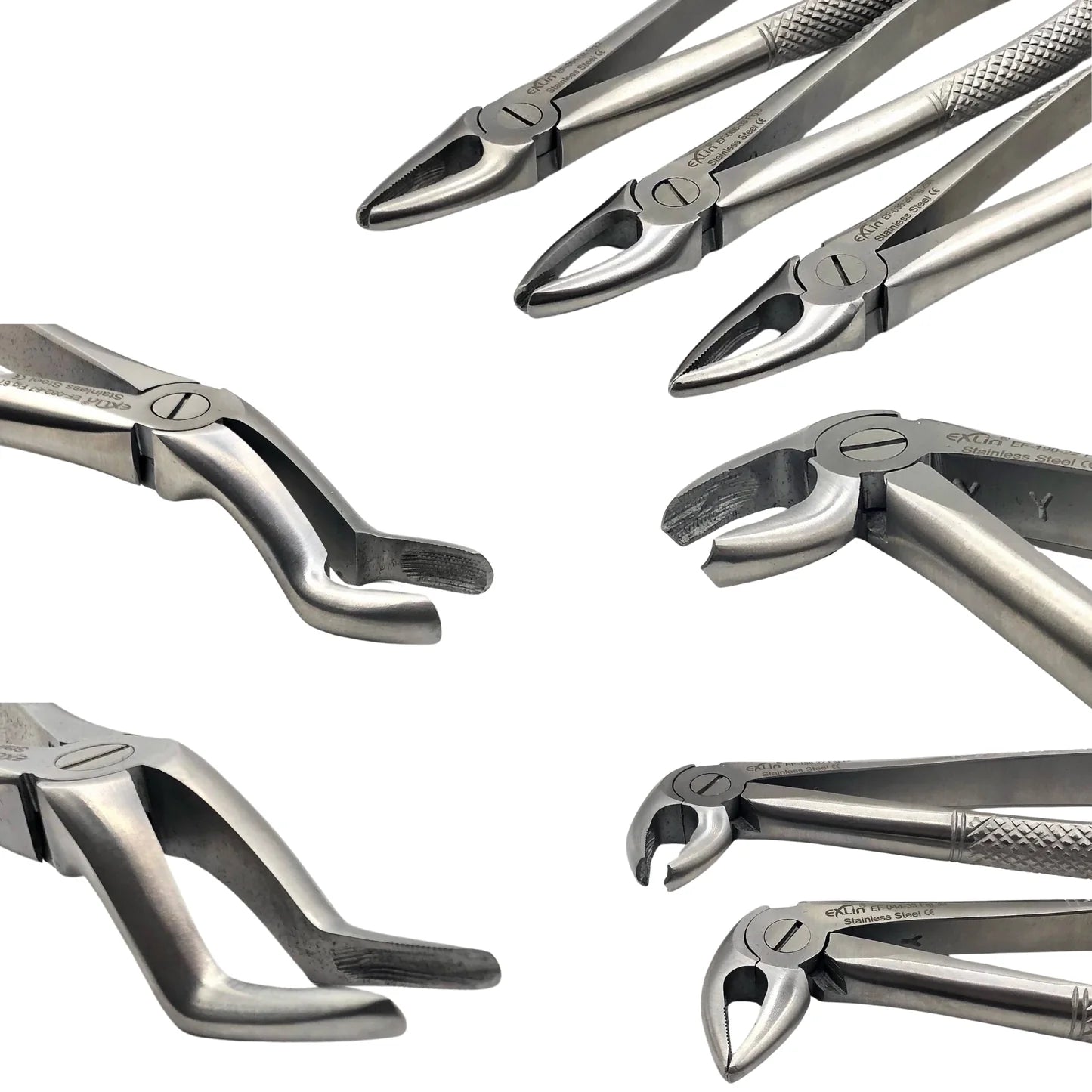 Forceps Kit from Exlin | EXLIN