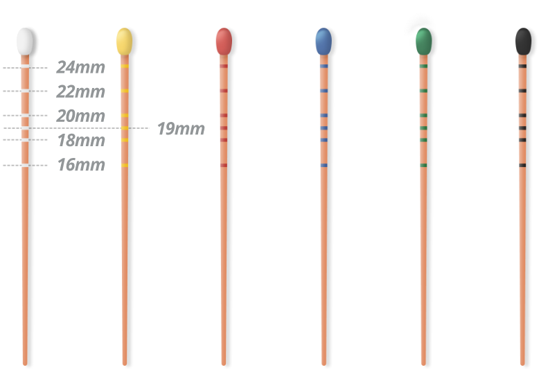 Gutta Percha Points | META