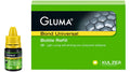 GLUMA Bond Universal 2ml | KULZER
