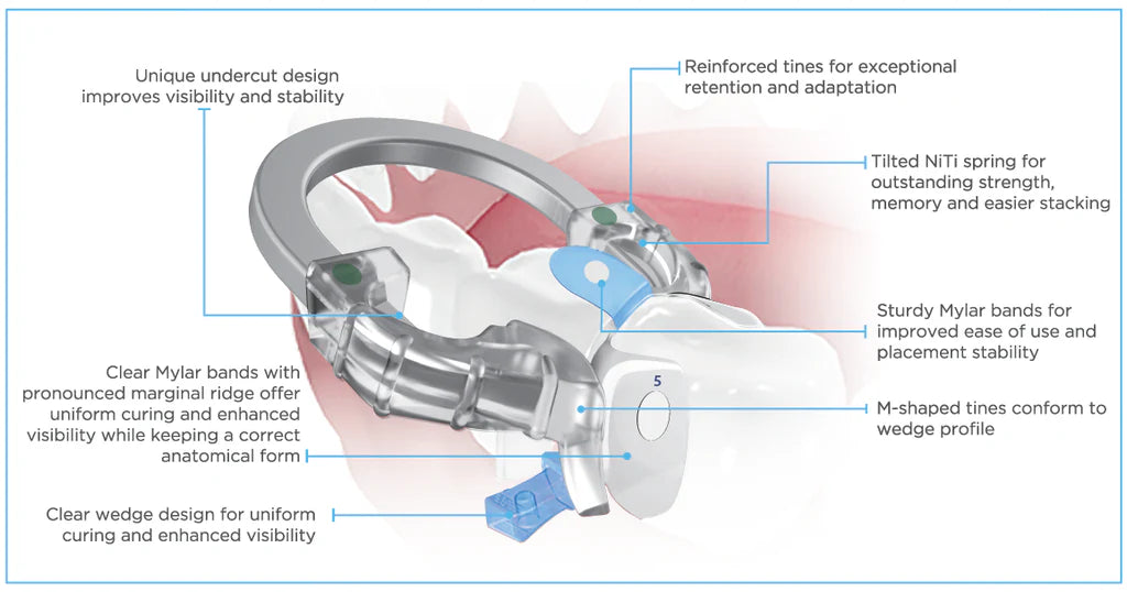 iMatrix™ Clear Sectional Matrix Ring| PAC-DENT