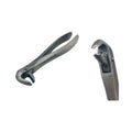 Lower Molars Forceps | EXLIN