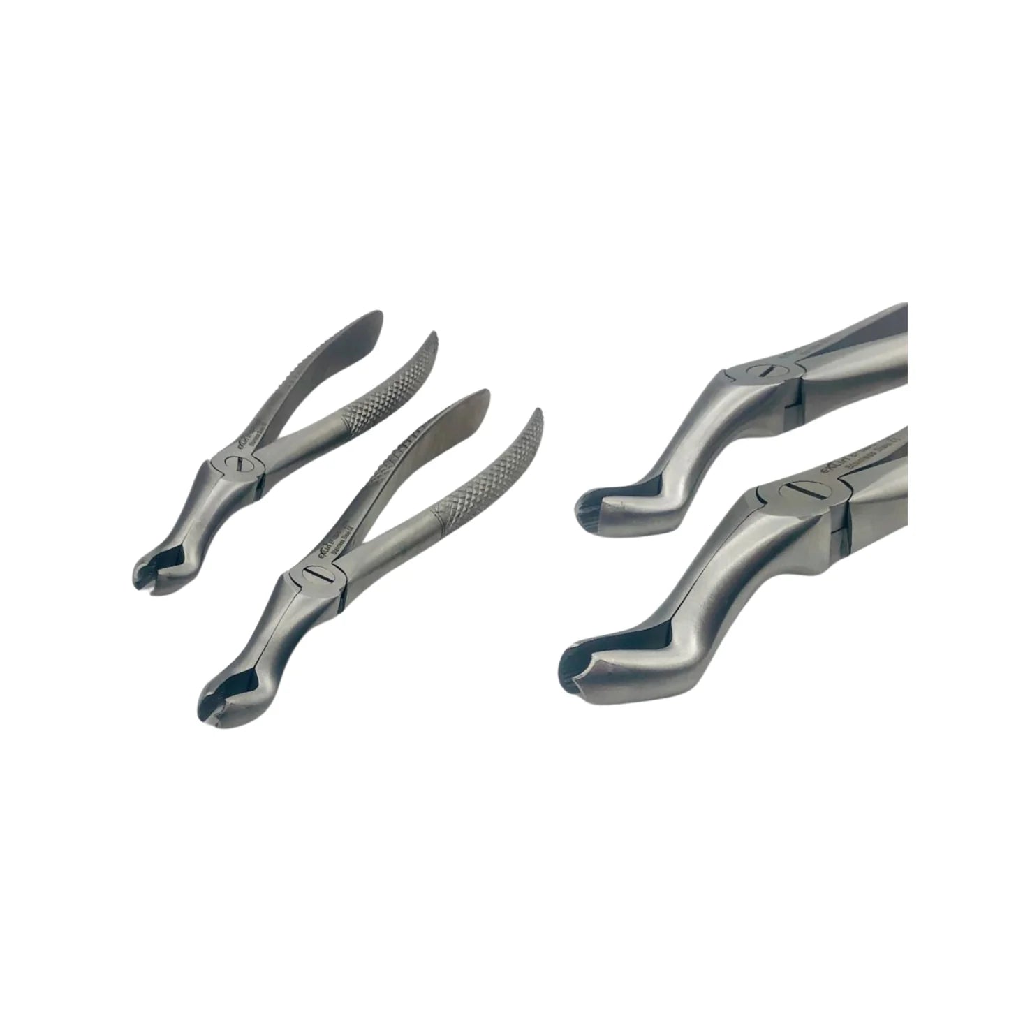 Upper Molars Forceps | EXLIN